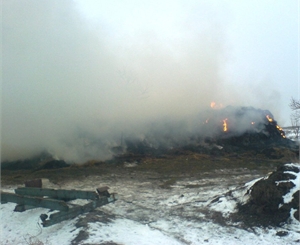 Киевские власти опасаются массовых пожаров.
Фото МЧС Украины в Запорожской области.