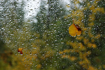 Днем и вечером в столице ожидаются дожди и грозы.
Flickr Photo Sharing.