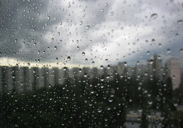А что делаете вы, когда за окном льет дождь? Фото автора
