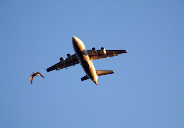 Самолеты в "Борисполе" взлетели! Фото sxc.hu