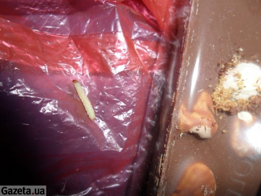 Если червяки позарились - значит шоколадка была вкусной?Фото с сайта gazeta.ua