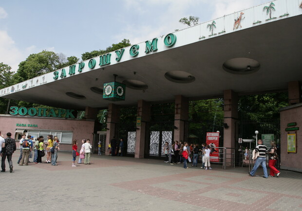 Теперь в киевском зоопарке будут установлены видеокамеры. Фото Артема Пастуха