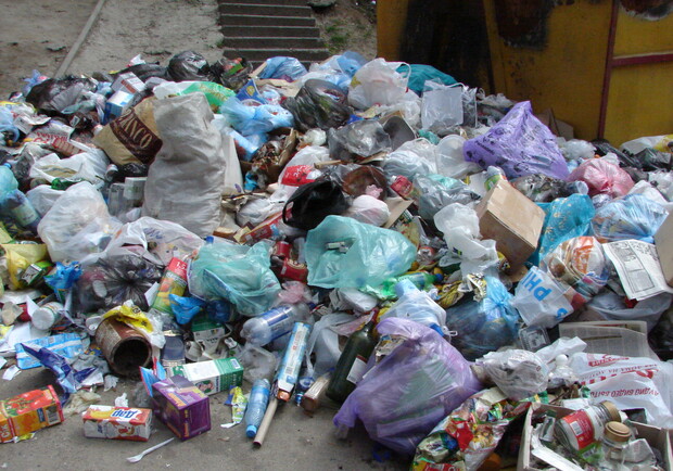 Школьники будут знать, что делать с мусором. Фото Николая Лещука