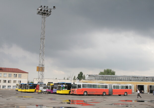 102-х автобусов стало в два раза больше. Фото Артема Пастуха