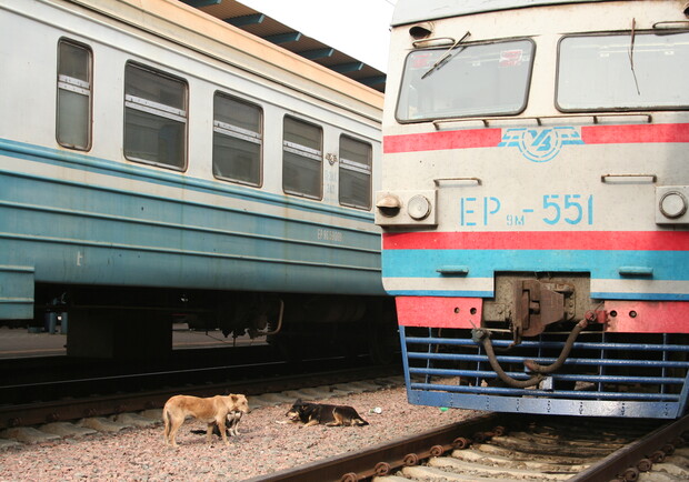"Укрзализныця" назначила еще четыре дополнительных поезда на новогодние праздники. Фото Максима Люкова