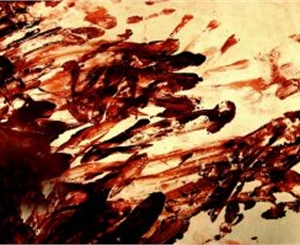 Уходящий год шокировал громкими убийствами. Фото с сайта www.sxc.hu