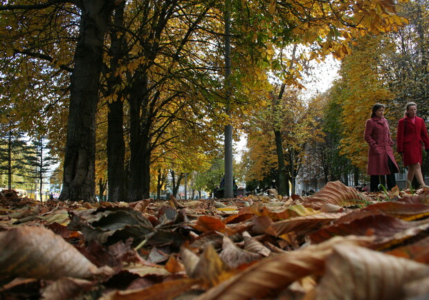 Количество зеленых зон в столице, согласно Генплану, увеличится. Фото Максима Люкова
