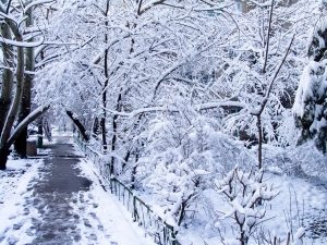 Первый рабочий день в столице будет снежным. Фото sxc.hu