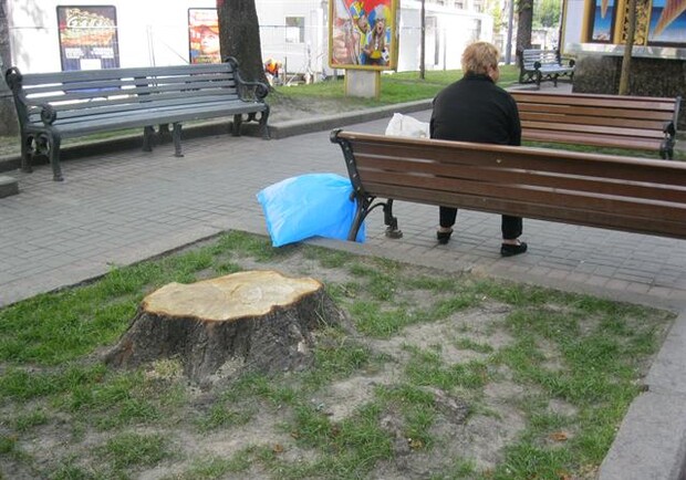 Новость - Транспорт и инфраструктура - В центре Киева вырубили почти все деревья