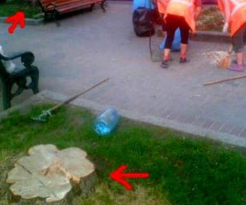 Коммунальщики провели "зачистку". Фото с сайта nbnews.com.ua.