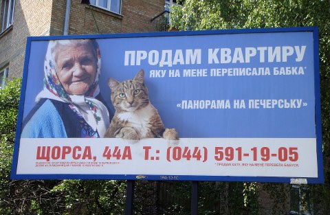 Новость - События - Скандальный кот и бабка теперь предлагают купить свою квартиру
