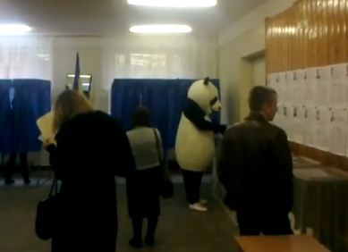 Новость - События - На выборы в Киеве пришла панда