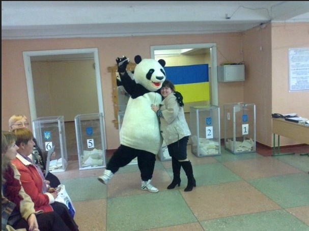 Неравнодушной к выборам осталась даже панда. Фото segodnya.ua