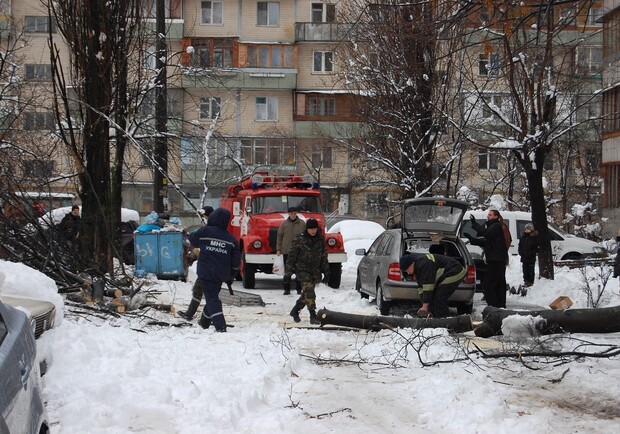 Только за утро в МЧС поступило более 30 вызовов с жалобами на упавшие деревья. Фото с сайта nevsedoma.com.ua