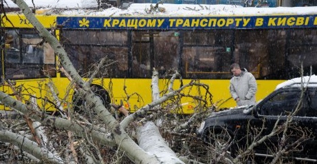 В центре Киева тополь упал на автобус. Фото с сайта ukranews.com