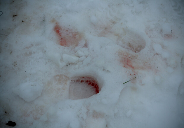Кровавые следы на месте трагедии. Фото Олега Терещенко