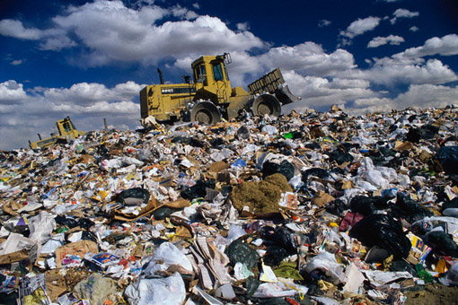 В мэрии решили штрафовать предприятия за неубранный мусор. Фото: newzz.in.ua