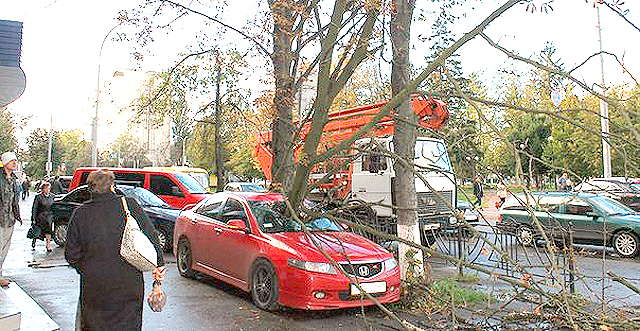 Новость - События - В Соломенском районе дерево "напало" на иномарку