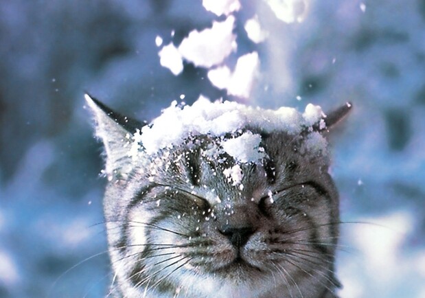 В первый день зимы будет сравнительно тепло и без осадков. Фото с сайта liveinternet.ru