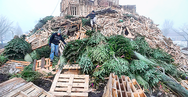 Выброшенные елки собирает специальная машина. Фото с сайта bigpicture.ru.