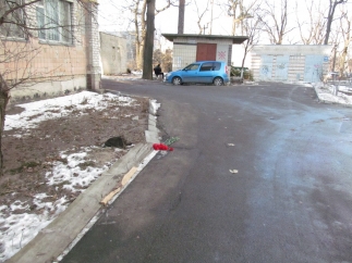 Теперь под окном, из которого прыгнула девочка, лежат гвоздики. Фото с сайта vesti.ua