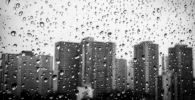 Дождь будет почти каждый день. Фото с сайта <a href="http://toddkw.tumblr.com/post/40818620624/winter-rain">toddkw.tumblr.com</a>.
