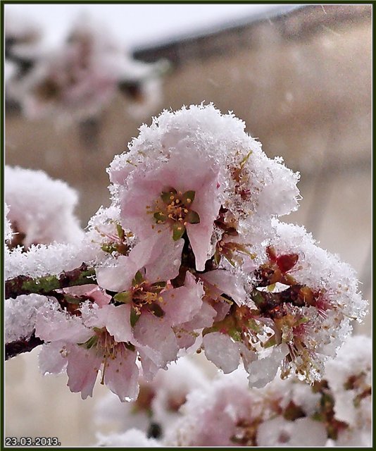 Снег синоптики пока не обещают, но похолодания придут. Фото с сайта adikal.ru