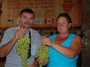  Сергей и Наталья Илюхины с трудом удерживают в руках свои виноградные грозди. В первую очередь жюри оценило их вкусовые качества и товарный вид. Фото предоставлено Владимиром Ярмилкой.