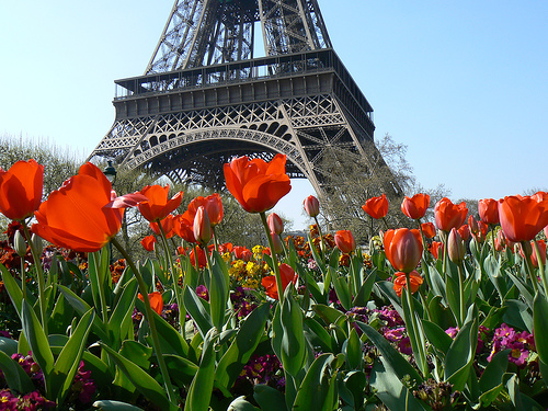 Французская весна стартует 2 апреля. Фото greattravels.co.uk