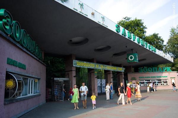 Новость - События - В киевском зоопарке снова умерло животное