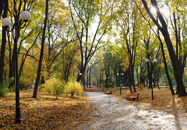 Новость - События - В киевском парке появится новый памятник
