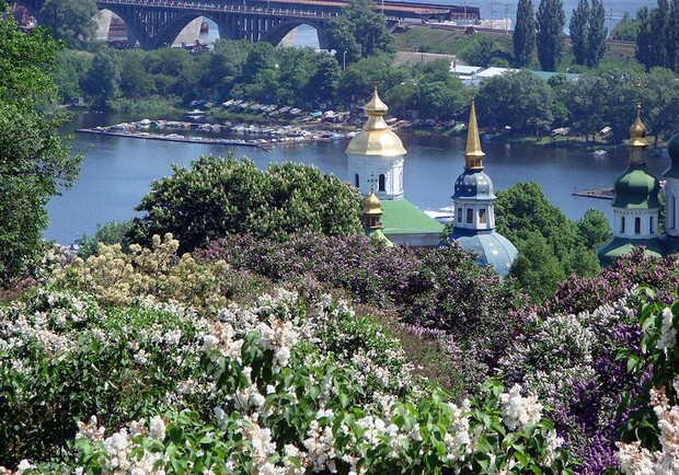 Новость - События - Сохрани Киев зеленым: жителей столицы призывают сажать деревья