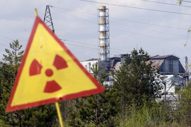 Новость - События - Фотофакт: как выглядит Чернобыльская пуща после пожара
