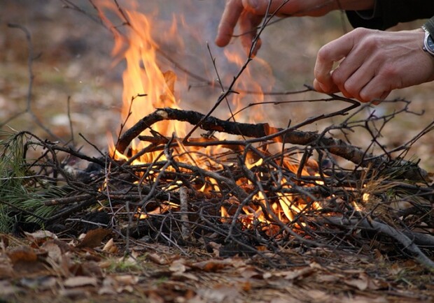 Новость - События - Возможен новый пожар: киевлян просят не ходить в лес