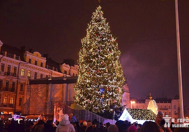 Новость - События - Главную елку Киева будут пилить неделю