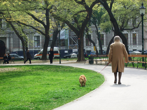 Новость - События - Помогите найти: в Киеве пропала бабушка с собачкой