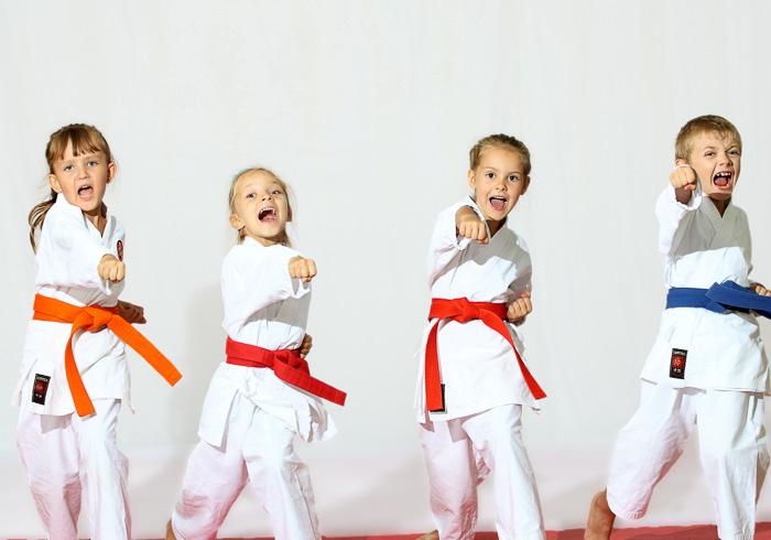 Фото karate.ru