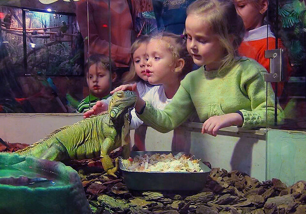 Афиша - Выставки - Детские дни рождения в зоопарке EKZOland