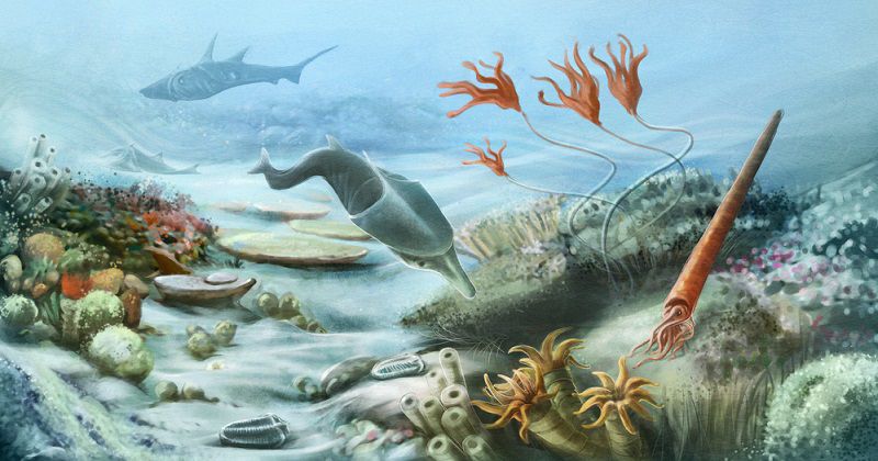 Афиша - Выставки - Тайны древнего океана