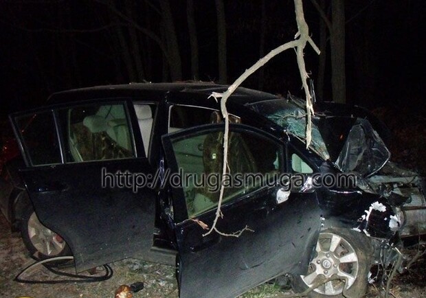 В битве между человеком и природой выиграла природа - авто разбилось об дерево. 

Все фото с сайта drugasmuga.com