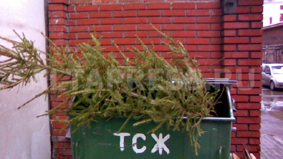 Многострадальных животных киевского зоопарка депутаты накормят елками. Фото с сайта lujkovu.net.