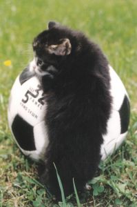 Крымские девчонки перед 8 марта 