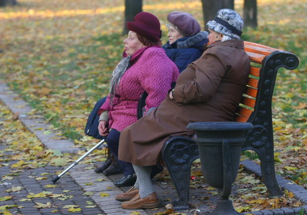 Даешь пенсионеров в волонтеры Евро-2012! Фото Максима Люкова