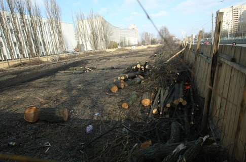 Водитель главы государства сообщил о незаконной вырубке леса.
Фото А. Яремчук  www.segodnya.ua 