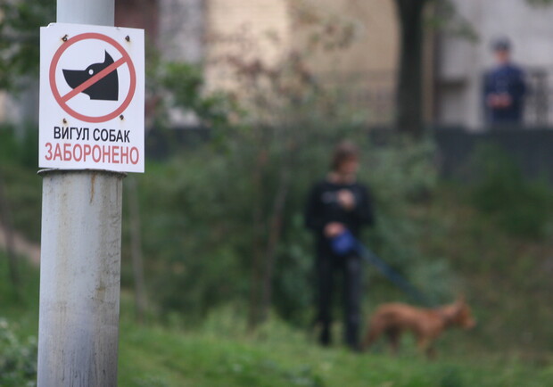 От выгула собак в неположенных местах не спасают даже запрещающие таблички. Фото Максима Люкова.