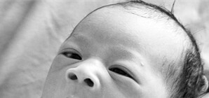 Позитивный Киев: как Кличко оказался непобедимым, младенец – неподъемным, а найденные деньги - ничейными