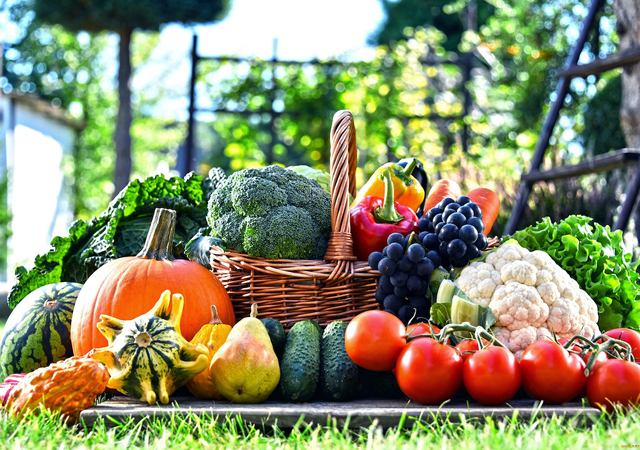 Органічний бізнес 2020: де прибуток для фермера