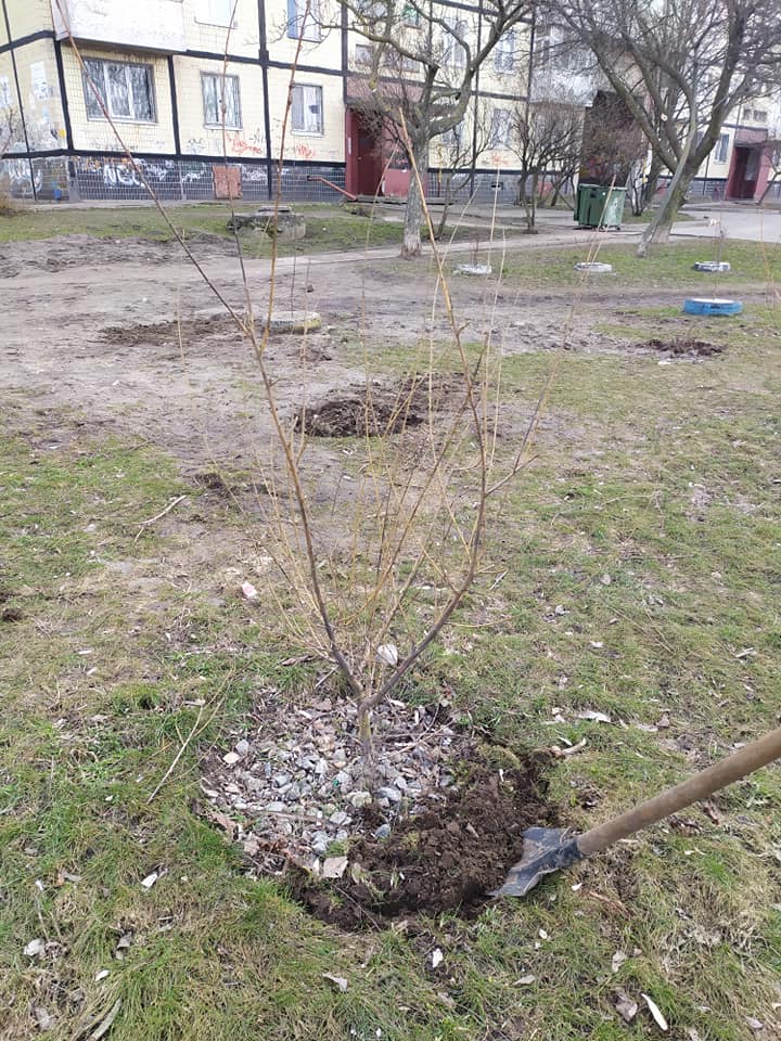 Безвозмездная любовь: днепрянин самостоятельно озеленяет родной жилмассив (фото)