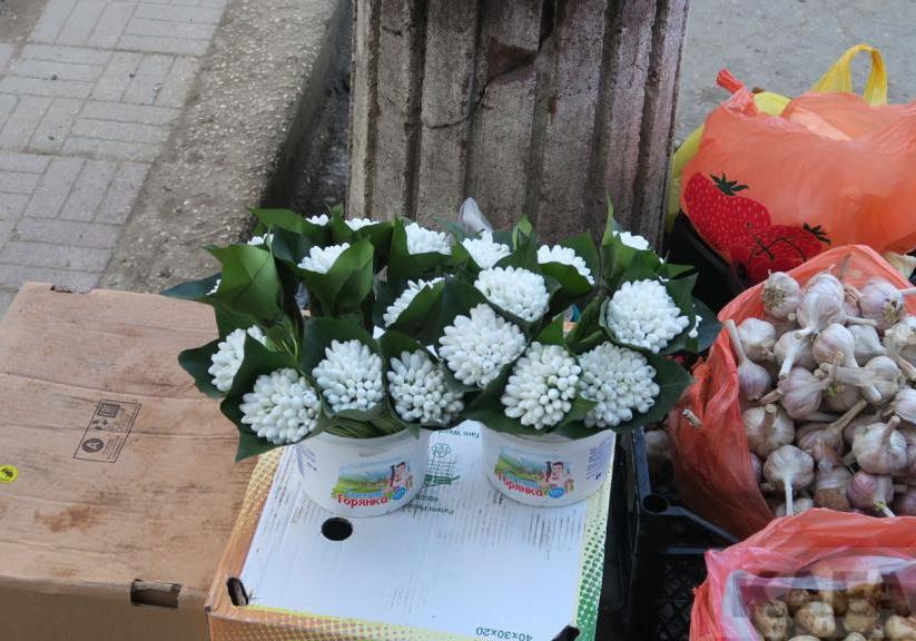 Новость - События - В Киеве создали патрули по борьбе с торговцами первоцветов