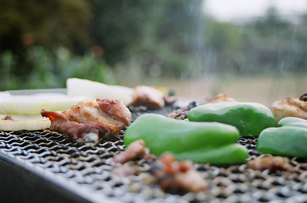 Топ-7 лондонских парков, где можно легально пожарить шашлыки